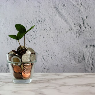 Top Homebuyer Grants You Need to Know About